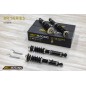 Bc Racing BR Lexus GS-300 JZS160 161 (98-05) Extra Low 20/24kg.mm