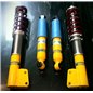 Bilstein Motorsport Renault Clio Williams