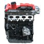 Motor 2.0 TFSI EA113 500cv