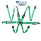 Arnes RRS fia evo 6  puntos  hans