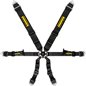 Arnes Schroth Profi 3x2