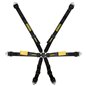 Arnes Schroth Profi 3x2