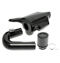 Carbon Air Intake compatible con BMW Serie 3 / Serie 4 con código de motor N20