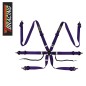 TBRacing Sport Plus Ultralight 2" 6-Point Harness FIA 8853-2016 TBRacing Sport Plus Ultralight 2" 6-Point Harness FIA 8853-2016
