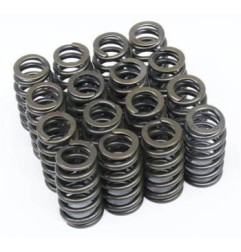 competition single 160lbs valve springs c.saxo