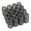 competition single 160lbs valve springs c.saxo