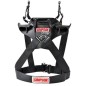Simpson Hybrid Rapid HANS