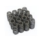 8 x Single Valve Springs 160 Poundage PH1 to PH3 Swedish Wire