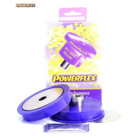 Powerflex PFR5-300
