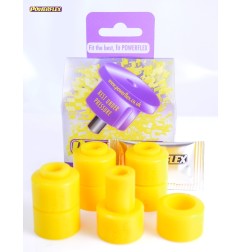 Powerflex PFF19-3621