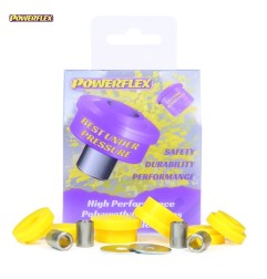 Powerflex PFF19-100
