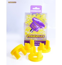 Powerflex PFR88-219