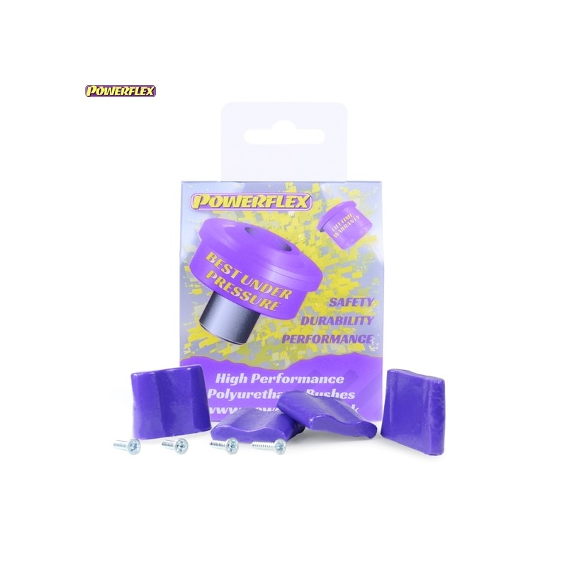 Powerflex PFR50-300
