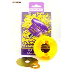 Powerflex PFR69-831