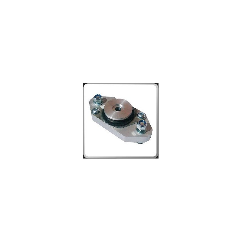 Vibratechnics RENAULT Megane 2 R26, RS, 225