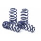 Muelles HR Mercedes Benz W251 (R-Klasse) 4matic