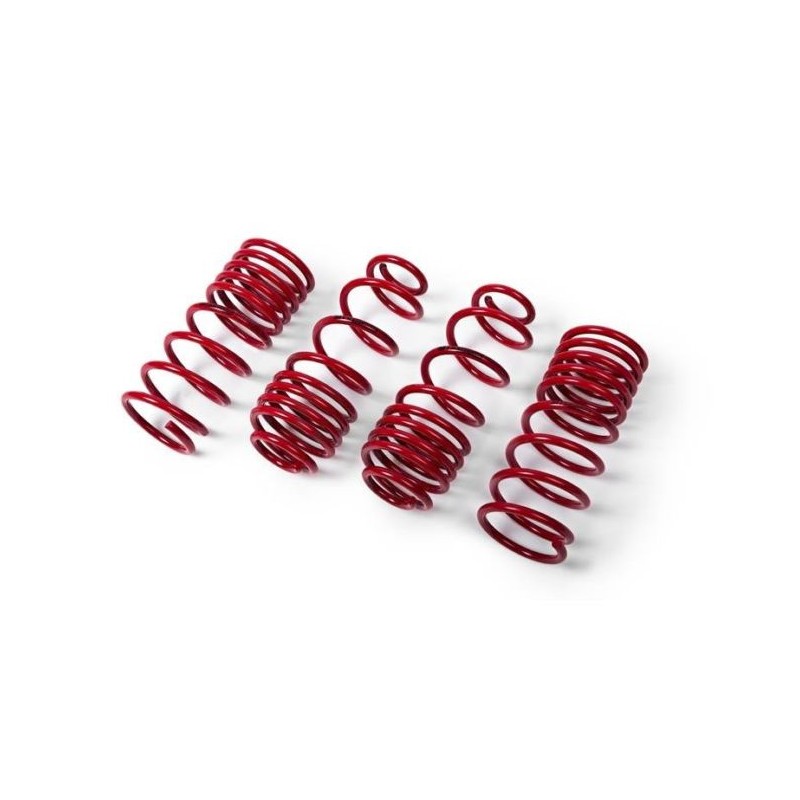 Muelles MTS BMW 6 Series / F06 Gran Coupe M6 Muelles MTS BMW 6 Series / F06 Gran Coupe M6