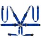 ARNES 6PT HANS + PULL DOWN AZUL