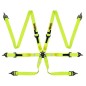 Arnes de rally Beltenick Fluor Ultralight EVO