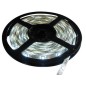 TIRA DE LED BLANCOS DE 5m, VISTA FRONTAL