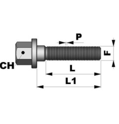 Tornillo plano M12x1,25 L40 C17