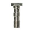 Tornillo doble banjo 10x100