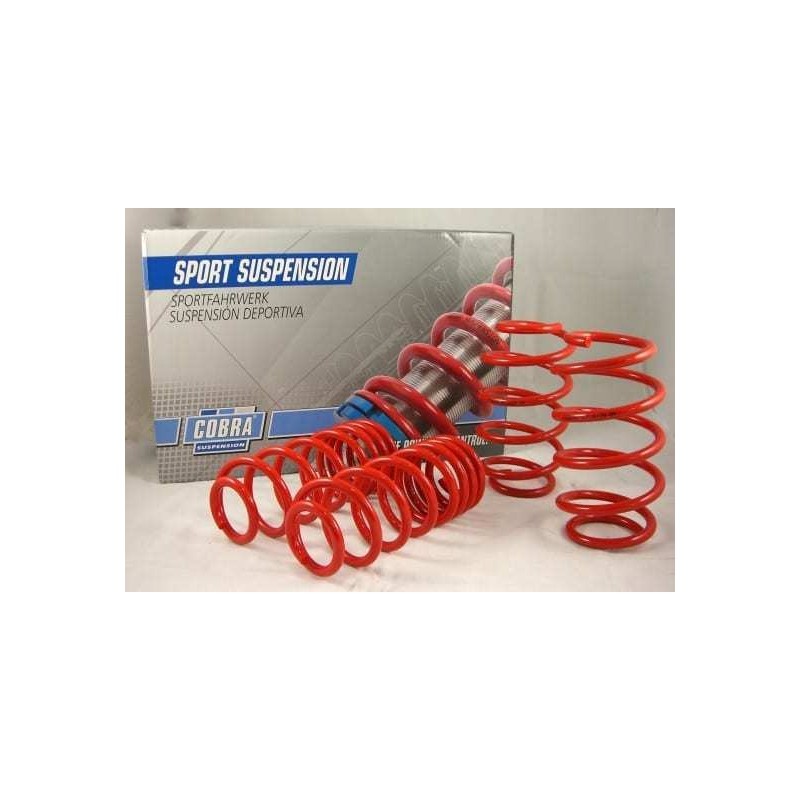 Muelles Cobra BMW 5 TOURING (2WD) 520/523/528/530/518D/520D with airsuspension HA - Incl. Lowering Links for the rear Muelles Cobra BMW 5 TOURING (2WD) 520/523/528/530/518D/520D with airsuspension HA - Incl. Lowering Links for the rear