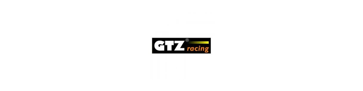 Amortiguadores GTZ Racing