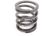EIBACH ERS springs