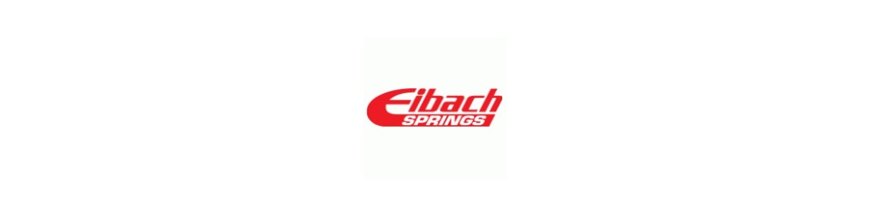 Eibach spacer kit