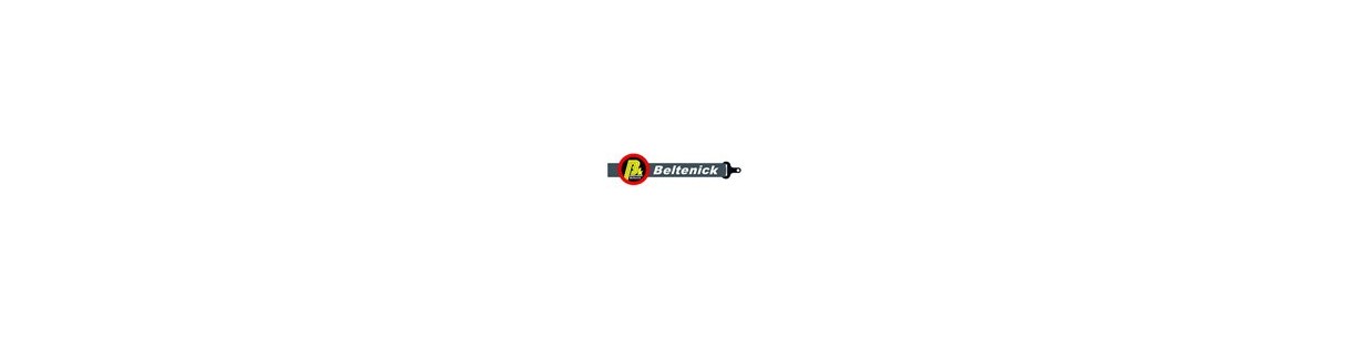 Bottines de rallye Beltenick