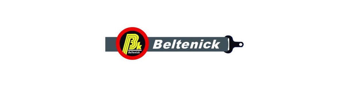 Baquets de rally Beltenick