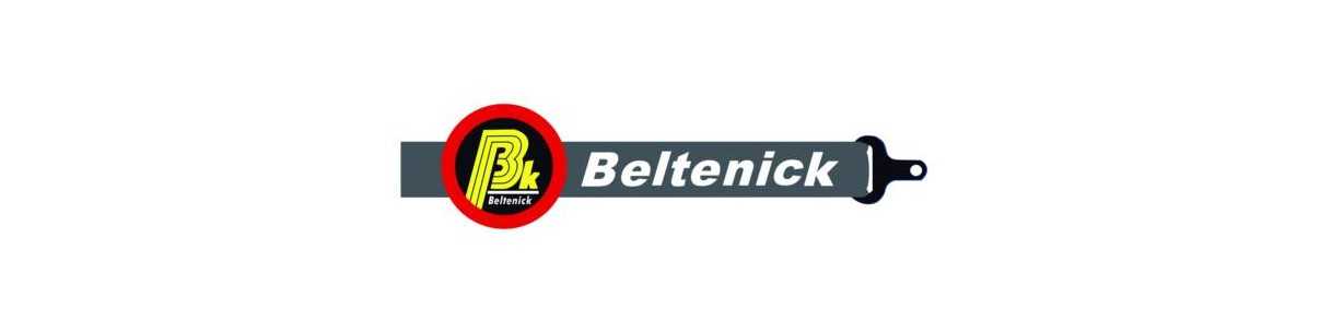 Harnais de rallye Beltenick