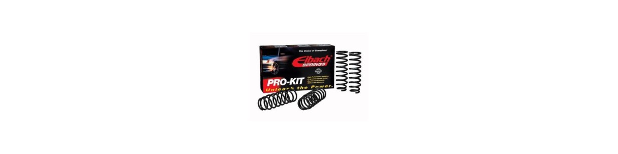 Eibach Pro-kit springs