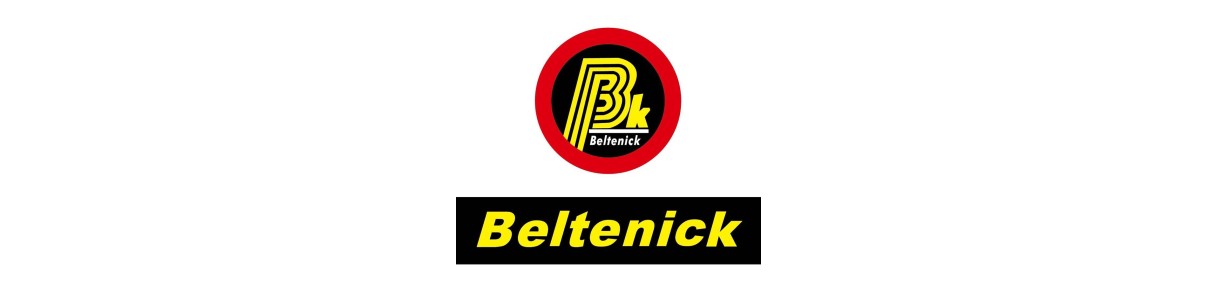 Baterías Litio Beltenick