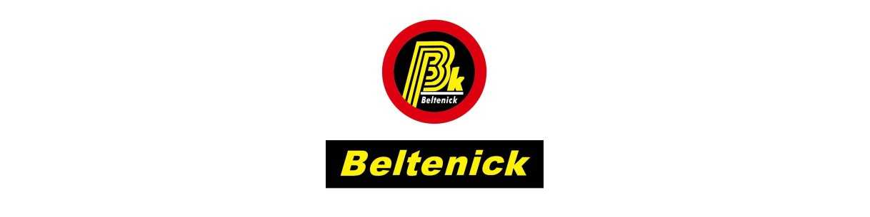Batteries lithium Beltenick