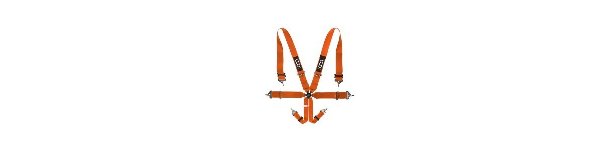 Rally and competition harnesses