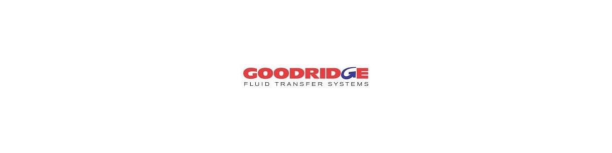 Tubos de travão em malha Goodridge