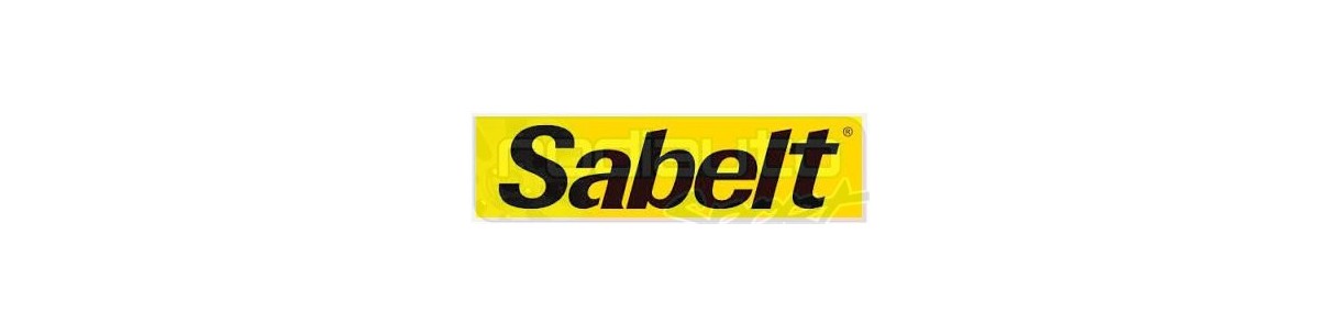Le Sabre FIA d'Arnèse
