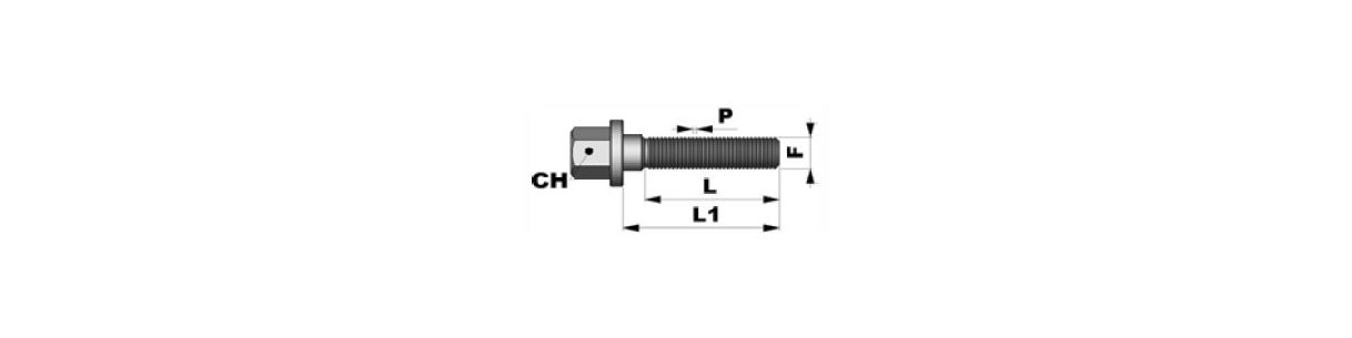 TORNILLO PLANO