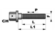FLAT SCREW
