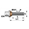 TORNILLO BASCULANTE