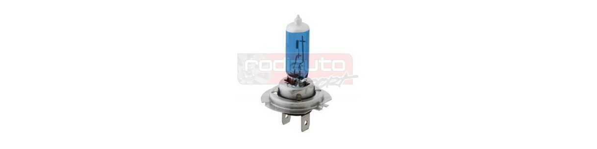 HID halogéneo 100 W