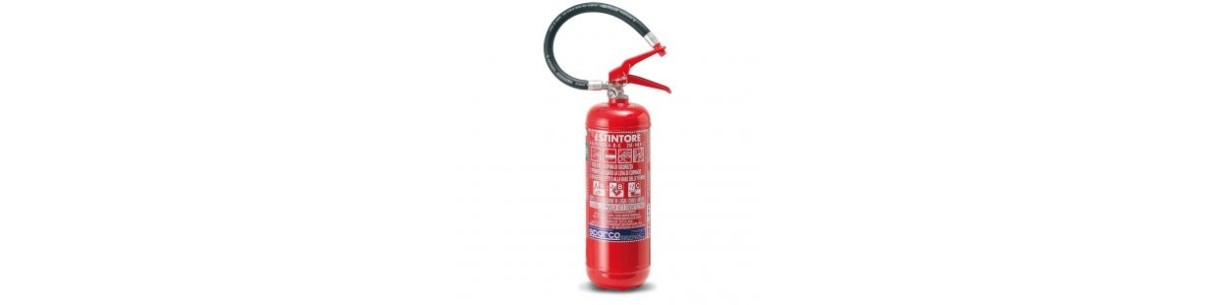 Rally fire extinguishing systems