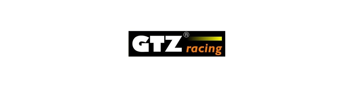 Molas esportivas GTZ Racing.